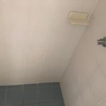 Shower 2 — Unit Remodeling in Caloundra, Sunshine Coast